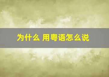 为什么 用粤语怎么说